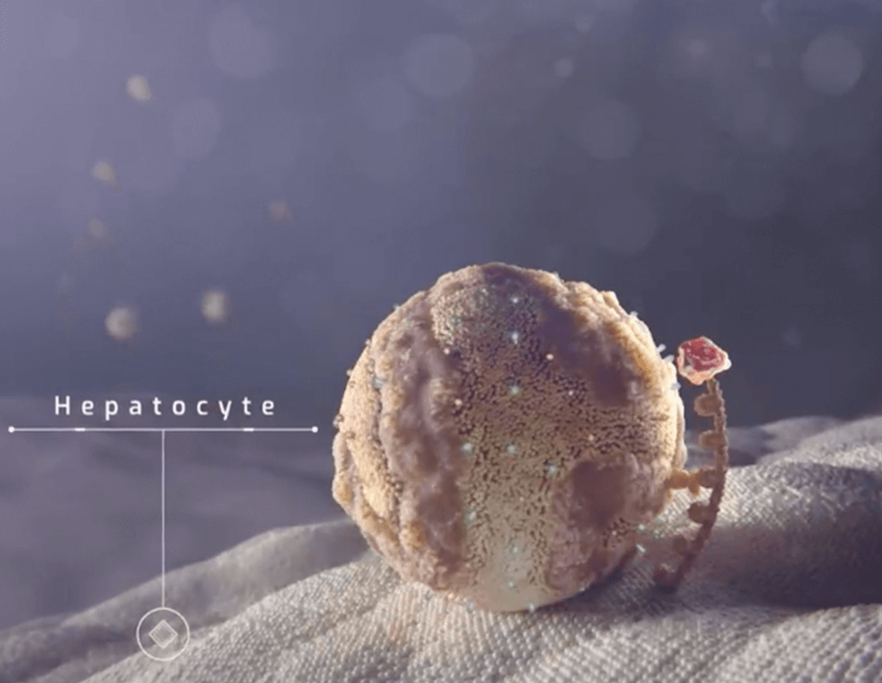 Lp(a) in Atherosclerotic