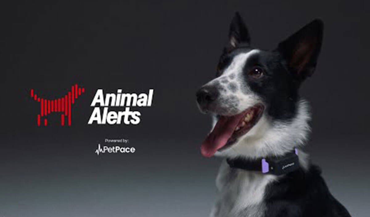 Animal-Alerts