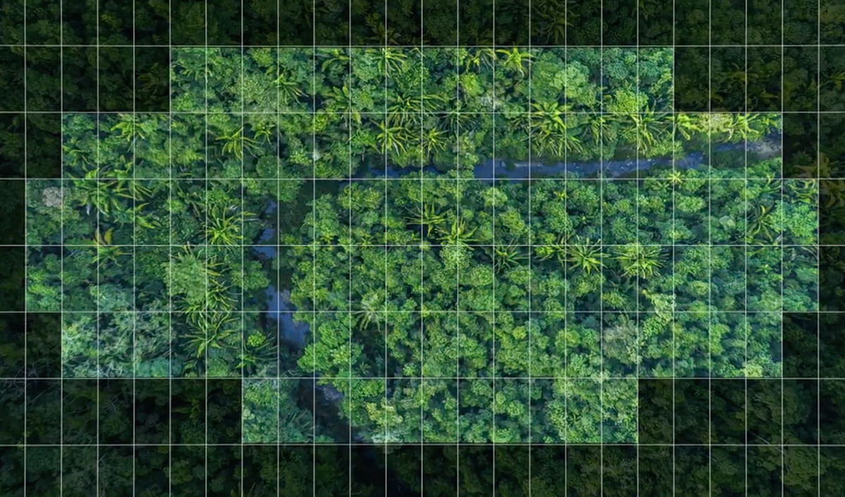 WWF-Save-What-You-See